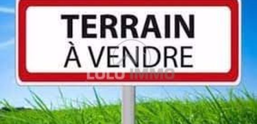 Nguérigne – Terrain de 4 793 m2 constructible proche de la route