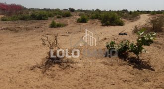 Nguérigne – Terrain de 5 000 m2 à vendre