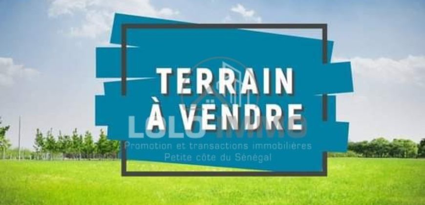 Saly route des milliardaires parcelle de 26000m2