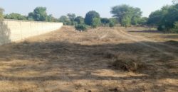 Nguerigne  belle parcelle de 22000m2