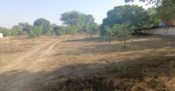 Nguerigne  belle parcelle de 22000m2