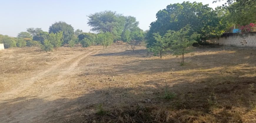 Nguerigne  belle parcelle de 22000m2