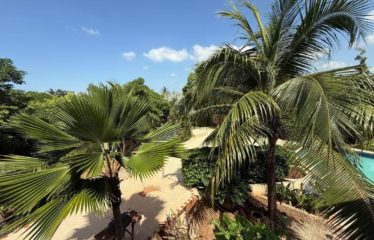 Somone – Villa d’architecte 4 chambres avec piscine à vendre.BV482.