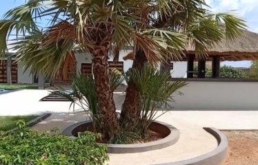 Nguérigne – Villa contemporaine plain-pied 5 chambres avec piscine à louer.BV484.