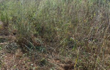 Nguérigne – Terrain de 900 m2 à vendre.BT289.