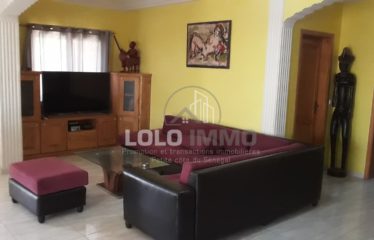 SALY : Somptueuse villa à vendre de 400 m2 avec rapport locatif existant