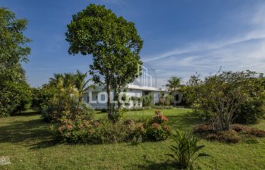 NGUERIGNE : Villa 5 chambres sur un terrain de 5 838 m2 à vendre