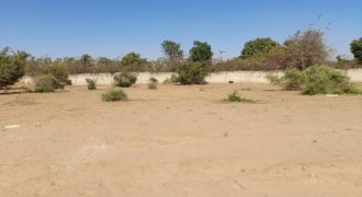 NGAPAROU : Terrain constructible de 4 008 m2 à vendre