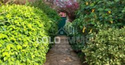 Ngaparou – Villa paisible au coeur d’un joyau arboré avec piscine à vendre