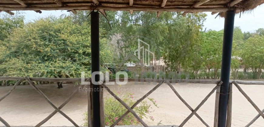 Palmarin – Belle propriété avec sa villa sur 5 959 m2 en bordure de plage à vendre.