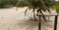 Palmarin – Belle propriété avec sa villa sur 5 959 m2 en bordure de plage à vendre.