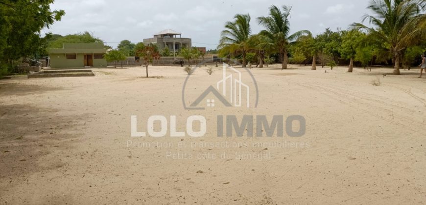 Palmarin – Belle propriété avec sa villa sur 5 959 m2 en bordure de plage à vendre.