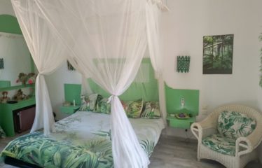 Warang – magnifique Riad de 3 chambres avec piscine à vendre.BV404.
