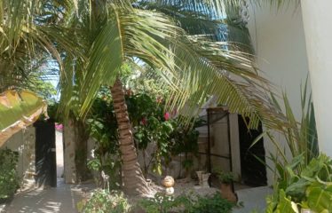 Warang – magnifique Riad de 3 chambres avec piscine à vendre.BV404.