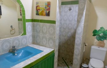 Warang – magnifique Riad de 3 chambres avec piscine à vendre.BV404.