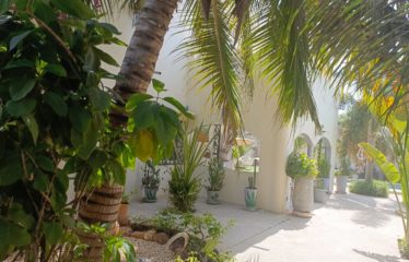 Warang – magnifique Riad de 3 chambres avec piscine à vendre.BV404.