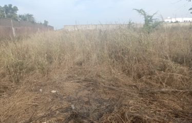 Nguerigne – terrain de 1095m2 à vendre.BT269.