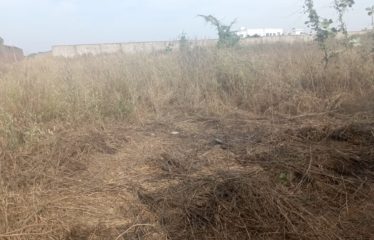 Nguerigne – terrain de 1095m2 à vendre.BT269.