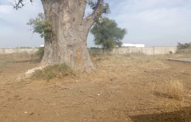 Nguerigne – terrain de 1689m2 à vendre.BT268.