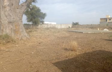 Nguerigne – terrain de 1689m2 à vendre.BT268.