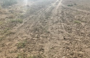 Nguerigne – terrain de 1077m2 à vendre.BT267.