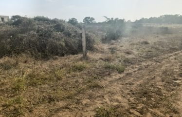 Nguerigne – terrain de 1077m2 à vendre.BT267.