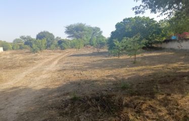 Nguerigne – belle parcelle de 22000m2 à vendre