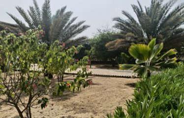 Mbodiene – Villa et sa dépendance sur une parcelle de 1600m2 à vendre.