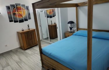 Warang – charmante villa avec piscine + 1 appartement T2  autonome à vendre
