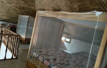 Warang – charmante villa avec piscine + 1 appartement T2  autonome à vendre