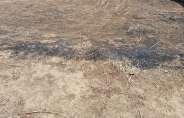 Popenguine – Terrain de 1200m2 à vendre.BT275.