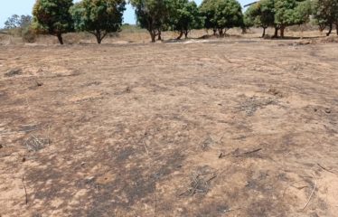 Popenguine – Terrain de 1200m2 à vendre.BT275.