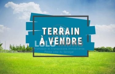 Ngaparou – Terrain pieds dans l’eau à vendre.BT278.