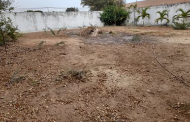 Nguérigne – Terrain de 600 m2 clôturé à vendre.BT282.