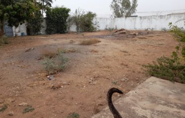 Nguérigne – Terrain de 600 m2 clôturé à vendre.BT282.