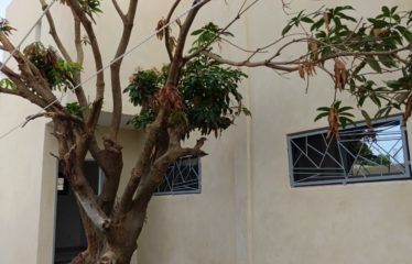 Ngaparou – Villa contemporaine neuve 4 chambres avec piscine à vendre.BV461.