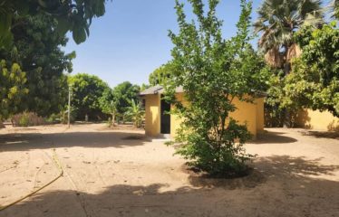 Yayem/Ndangane – Villa atypique avec piscine sur un terrain de 9 000 m2 à vendre.BV471.