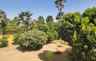 Yayem/Ndangane – Villa atypique avec piscine sur un terrain de 9 000 m2 à vendre.BV471.