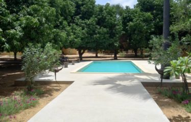 Yayem/Ndangane – Villa atypique avec piscine sur un terrain de 9 000 m2 à vendre.BV471.