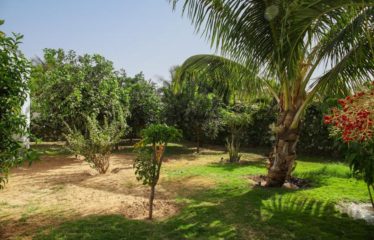Nguérigne – Villa contemporaine standing 3 chambres et un studio avec piscine à vendre.BV480.