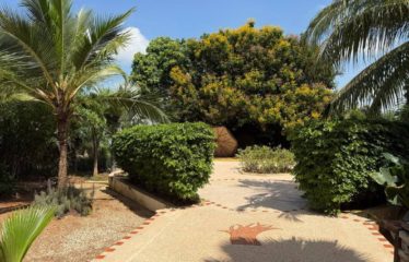 Somone – Villa d&rsquo;architecte 4 chambres avec piscine à vendre.BV482.