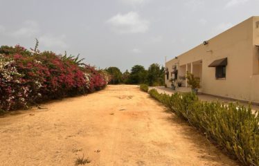 Nguekhokh – Villa 6 chambres avec piscine sur 2 hectares à vendre.BV495.