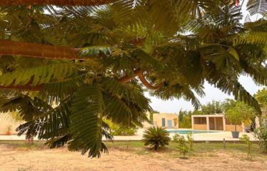 Nguekhokh – Villa 6 chambres avec piscine sur 2 hectares à vendre.BV495.