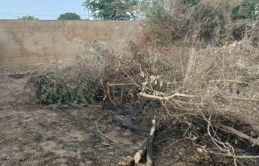 Ngaparou – Terrain de 600 m2 proche bord de route à vendre.BT294