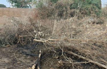 Ngaparou – Terrain de 600 m2 proche bord de route à vendre.BT294