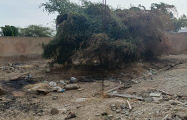 Ngaparou – Terrain de 600 m2 proche bord de route à vendre.BT294