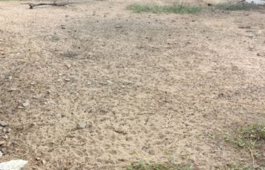 Ngaparou – Terrain de 1 886 m2 bord de mer (20 m de la plage) à vendre.BT295.