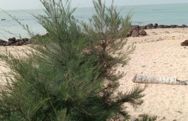 Ngaparou – Terrain pieds dans l&rsquo;eau de 1 200 m2 à vendre.BT297.