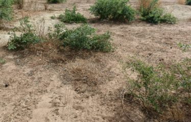 Nguekokh – Terrain de 7 052 m2 à vendre.BT298.