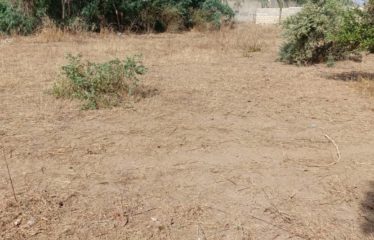 Nguérigne – Terrain de 1 394 m2 à vendre.BT510.